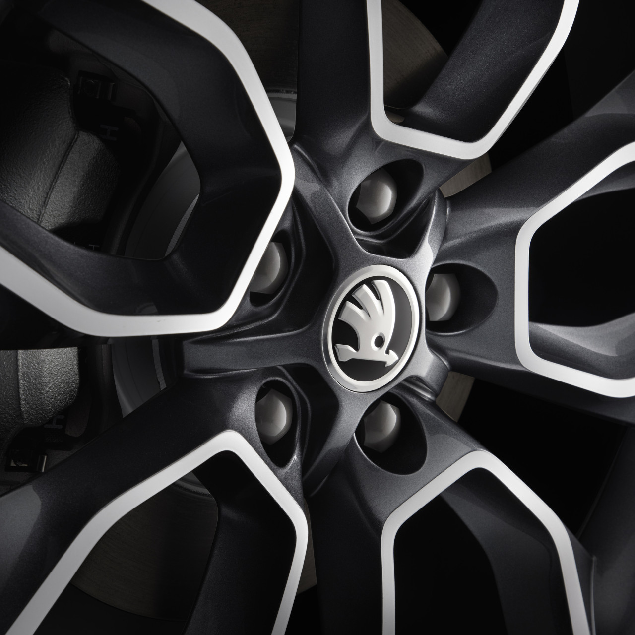 Ansicht eines Rad des Skoda Karoq